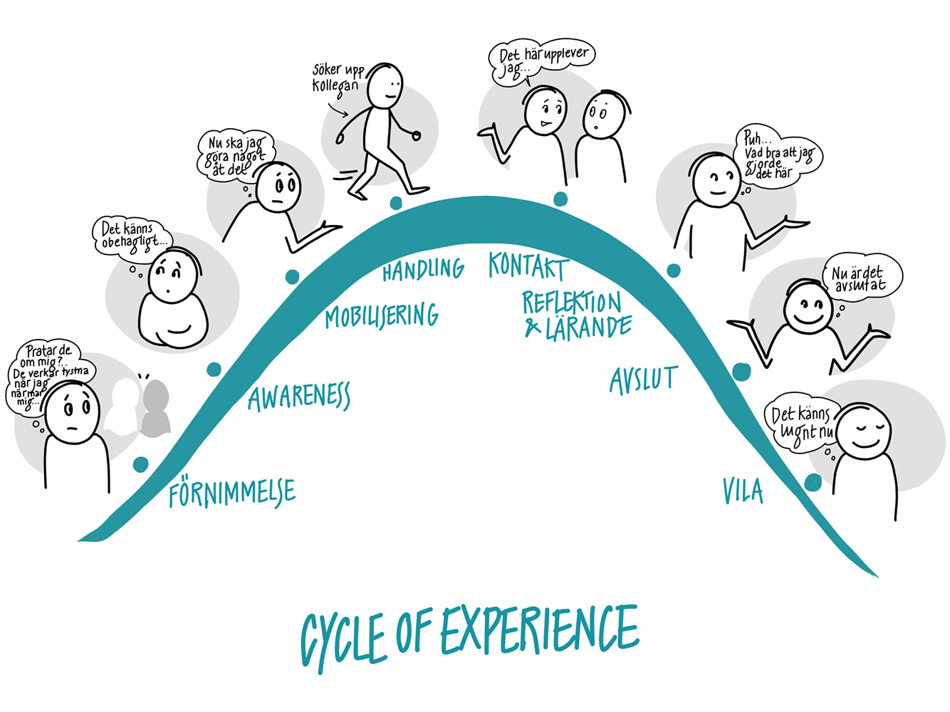 Cycle of Experience